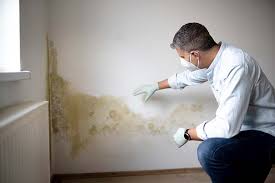 Best Comprehensive Air Testing for Mold Contaminants  in Kirkl, IN